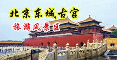 啊,嗯好粗,要射了情侣啪啪视频中国北京-东城古宫旅游风景区